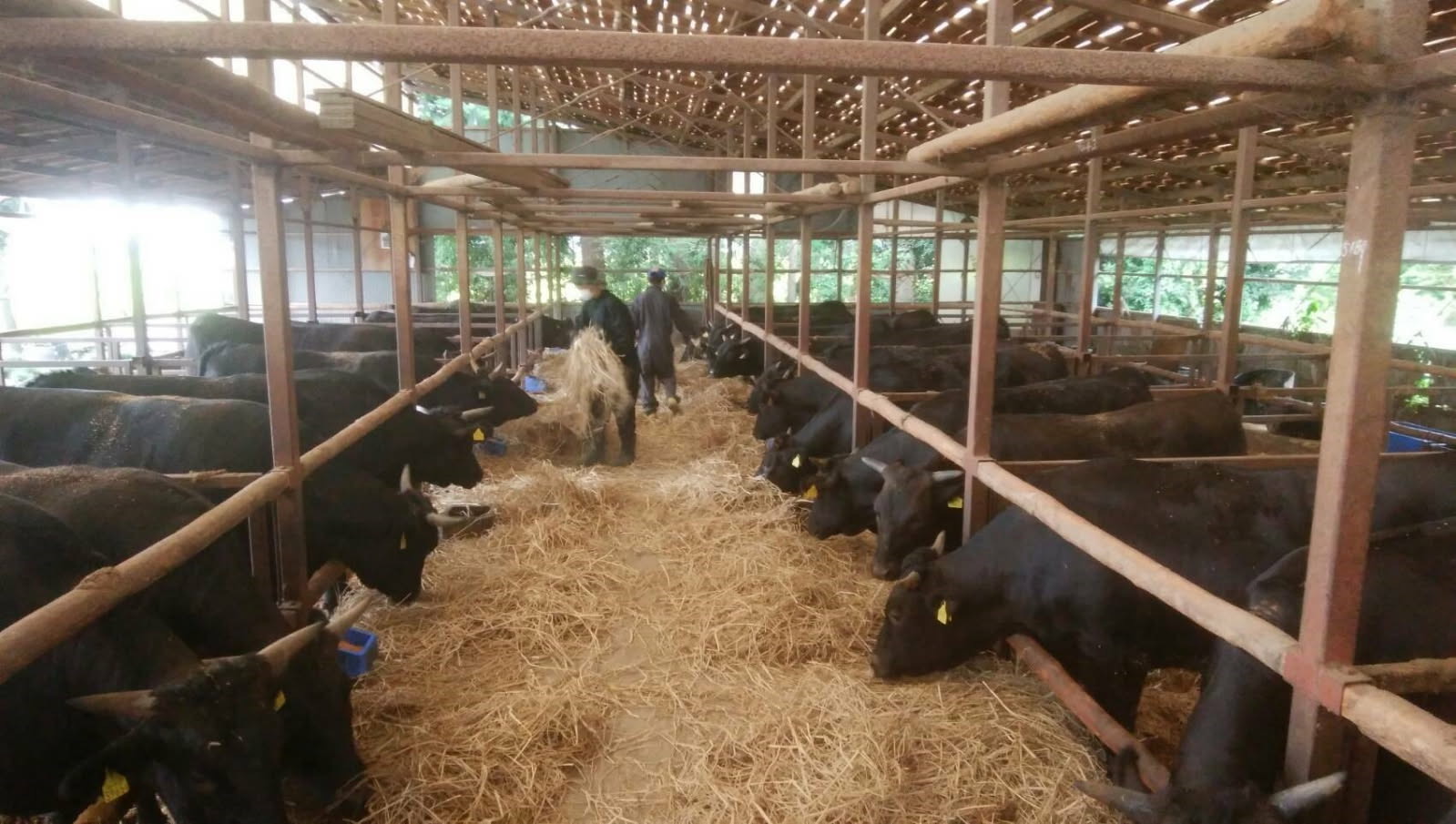 サービスAのイメージ